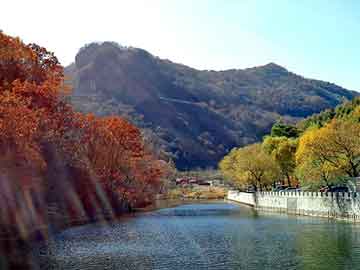 新澳天天开奖资料大全旅游团，百纳影视